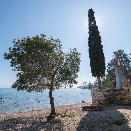 Spyrelia Villa With Private Pool & Outdoor Hot Tub Δασιά Εξωτερικό φωτογραφία