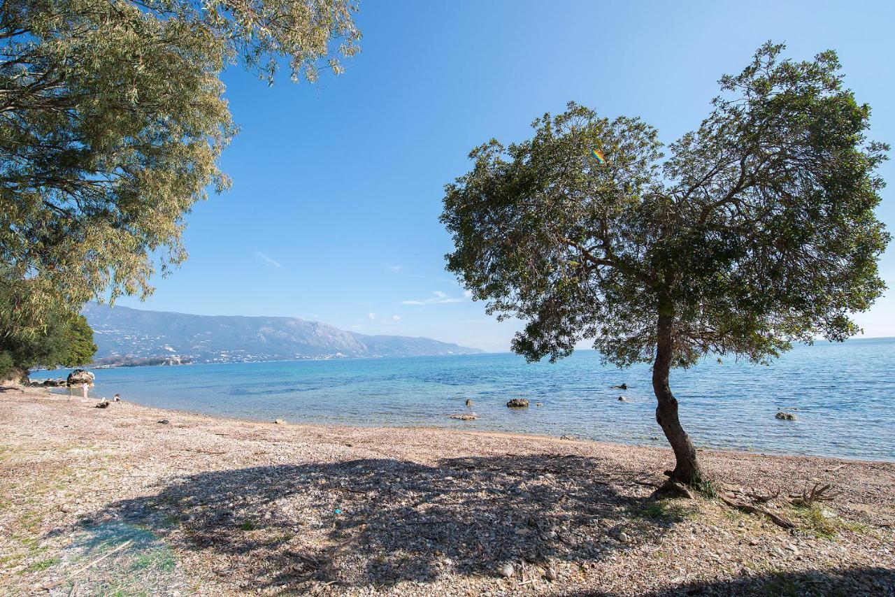 Spyrelia Villa With Private Pool & Outdoor Hot Tub Δασιά Εξωτερικό φωτογραφία